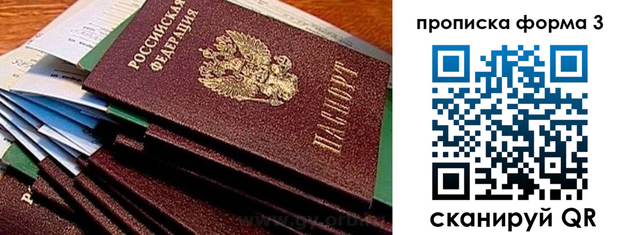 прописка иностранных граждан в Колпашево